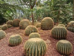 -呀路古热带植物园