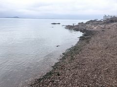-巢湖姥山岛