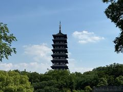 -宜兴龙背山森林公园