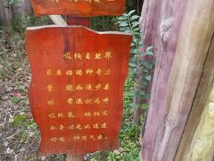 -宁波杭州湾海底温泉