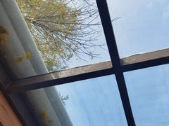 -VOYAGE COFFEE(北锣鼓巷店)