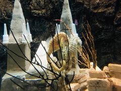 -太平洋海底世界