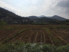 -红山村