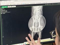 -爱妮康宠物医院·干细胞免疫细胞·肿瘤·心脏(张江店)