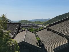 -大唐贡茶院