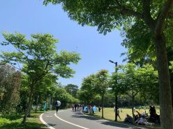 -佛灵湖水上乐园