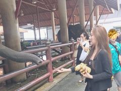 -东芭乐园