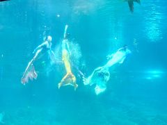 -福州罗源湾海洋世界旅游区