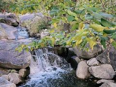 -天津盘山风景名胜区