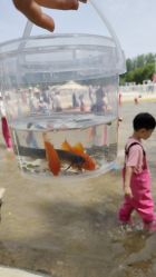 -上美四季动物农场