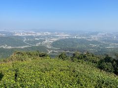 -黄埔油麻山森林公园