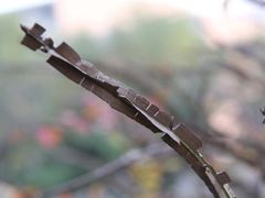 -辽宁大学(崇山校区)