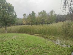 -东郊湿地公园