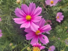 -花开海上生态园
