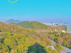 -六和塔文化公园