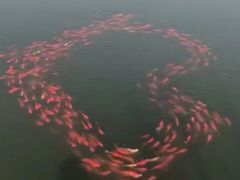 -水磨沟公园
