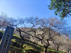-广州市石门国家森林公园