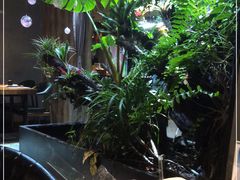 -森味薪火烧•烧鸟居酒屋•日本料理(望京店)