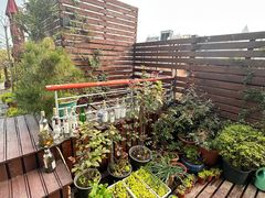 -哈瓦那雪茄酒廊超市(武汉天地分店)