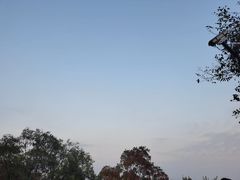 -大蜀山国家森林公园