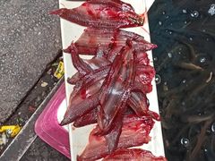 -铜元老码头鳝鱼火锅