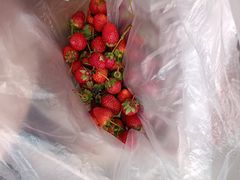 -五里多农博广场