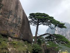 -徽州美食(三十年老店)