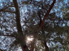 -西涌国际滨海旅游区