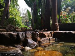 -厦门日月谷温泉渡假村