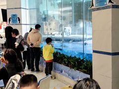 -帝企鹅自助餐厅•儿童岛•真企鹅(长隆企鹅酒店)