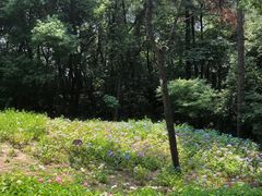 -临平公园(临平街道)