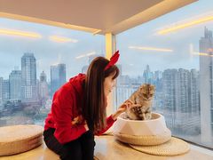 -Catmate·猫肥家润(金润铂宫店)