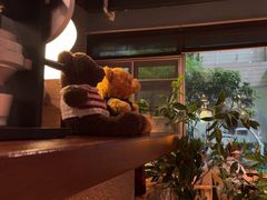 -咖法森林·咖啡  酒吧(天河店)