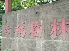 -三圣花乡旅游区
