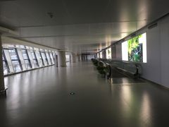 -温州龙湾国际机场