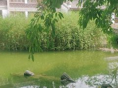 -龙潭水乡