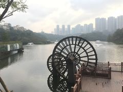 -重庆彩云湖湿地公园