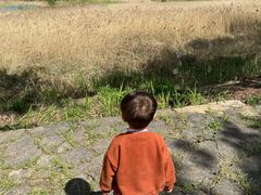 -济南国际园博园