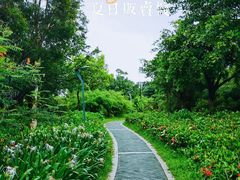 -福田红树林生态公园