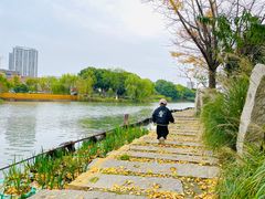 -圩墩遗址公园
