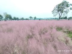 -汉长安城未央宫国家考古遗址公园