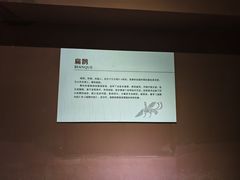 -滕州汉画像石馆