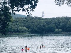 -紫霞湖公园