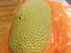 -三亚新鸿港水果一级批发市场