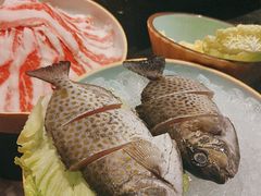 -雾山韩式烤肉·海南糟粕&椰子鸡火锅·海景餐厅(三亚绿发山海天JW万豪酒店)