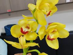 -华夏良子·足道SPA艾灸(铁道大厦店)