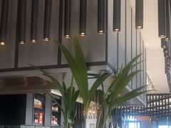 -瑰丽酒店·海吧·天际下午茶·现场DJ·天台酒吧