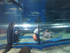 -福州罗源湾海洋世界旅游区