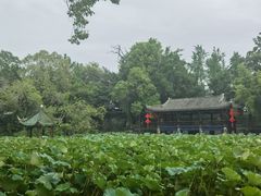 -房湖公园