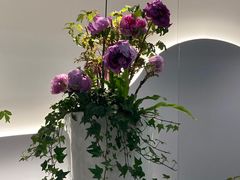 -上海辰山植物园
